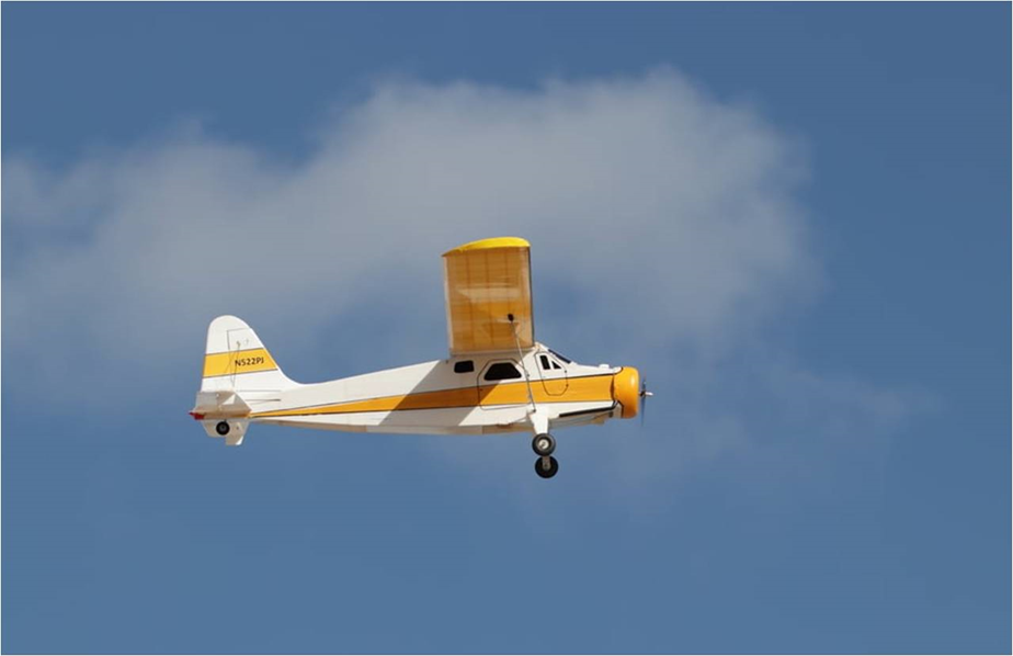 De Havilland DHC-2   "Beaver"
